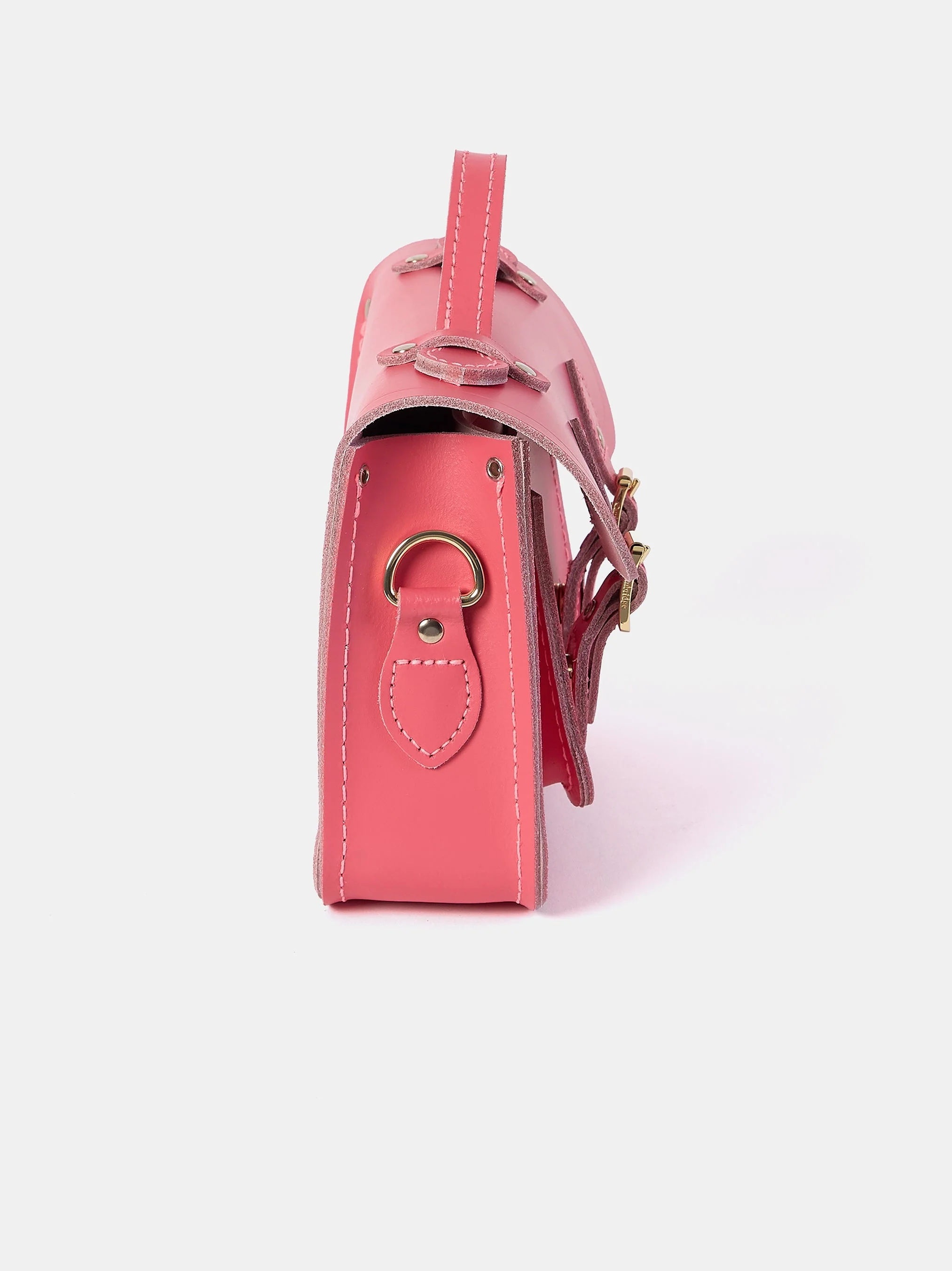The Mini - Calypso - Image 4